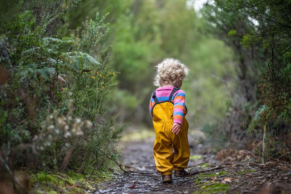 a little boy exploring forest