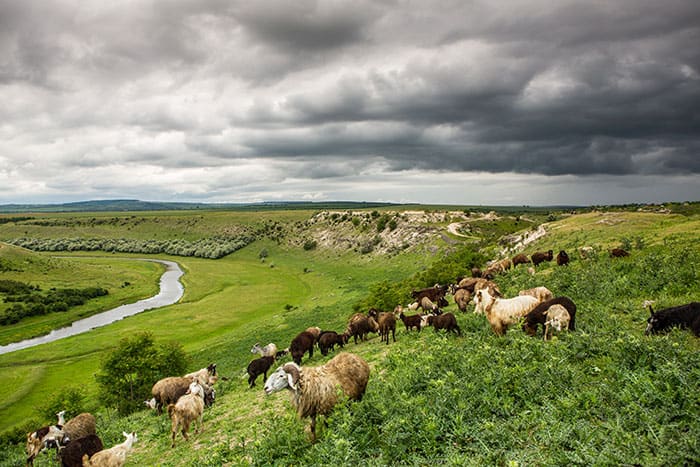 Irish landscape