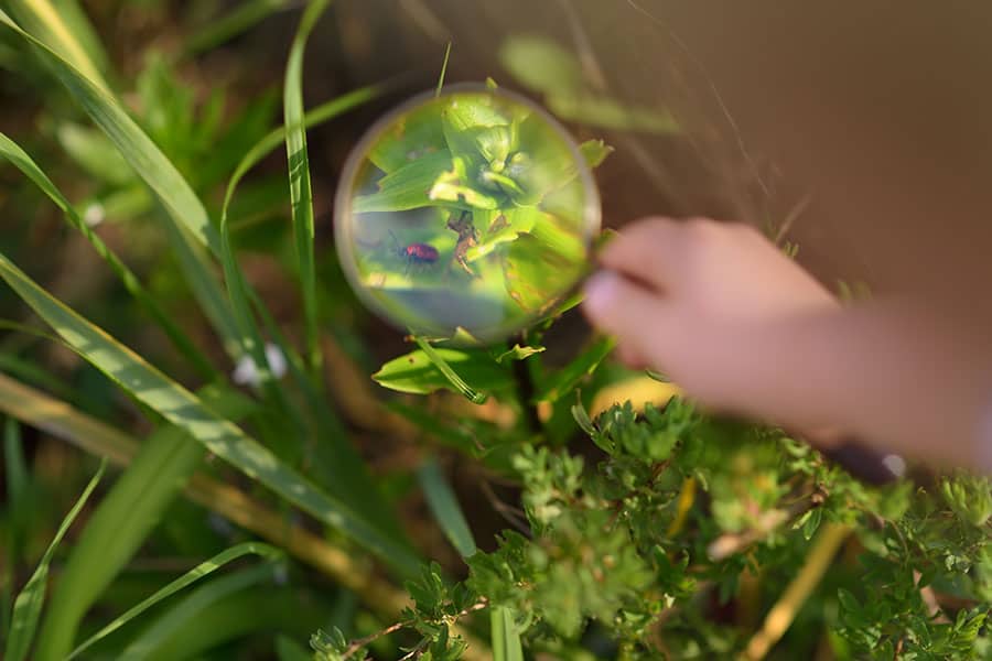 kid exploring nature with a magnifying glass