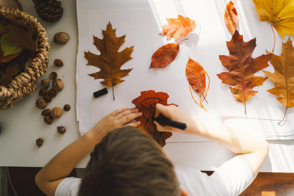 a young kids drawing on fall leaves