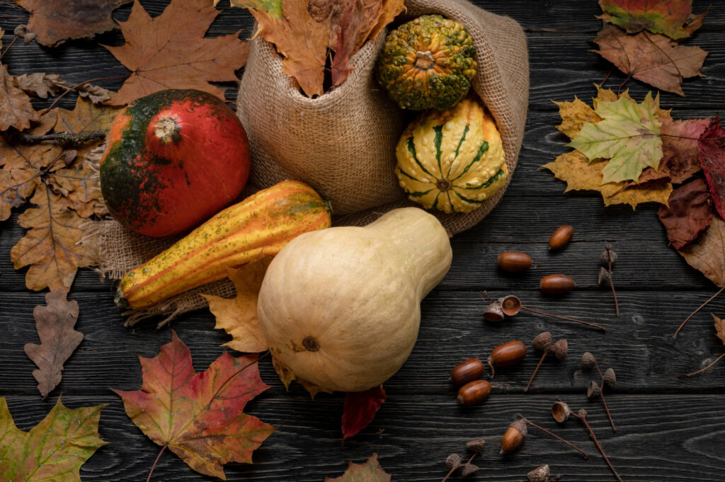 pumpkins, fall leaves, acorns spread around on the wooden floor